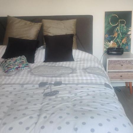 Logement Cosy Neuf Avec Jardin Mions Dış mekan fotoğraf